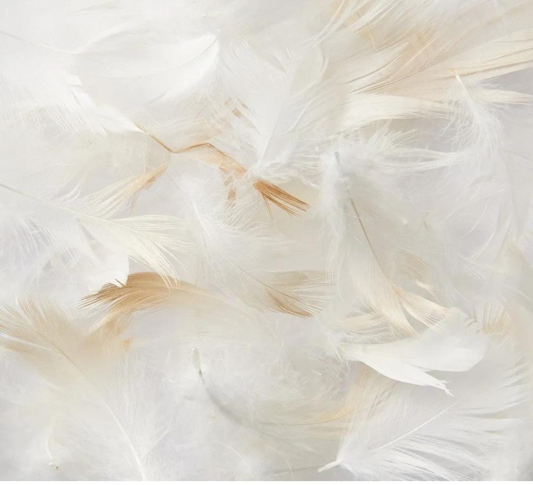 mujii 베게 물새깃털 진드기방지