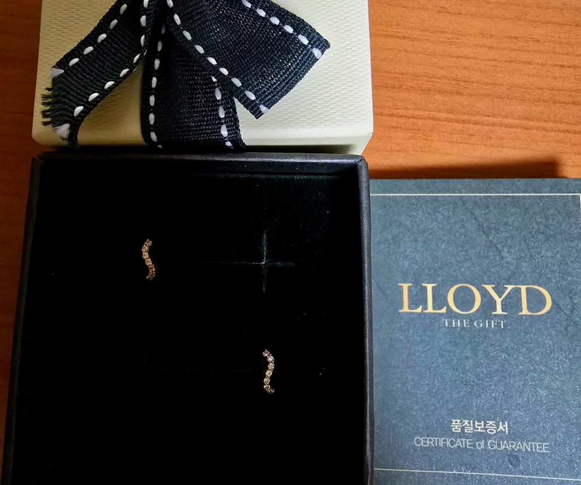 로이드 14k 귀걸이 LOFK1017