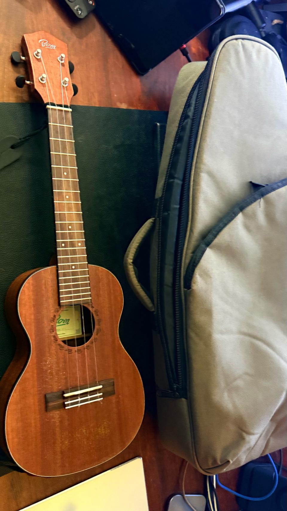 BOM SCS 콘서트 우쿨레레