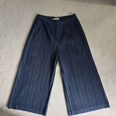 이세이 미야케 플리츠플리즈 멜로우 와이드 팬츠 1