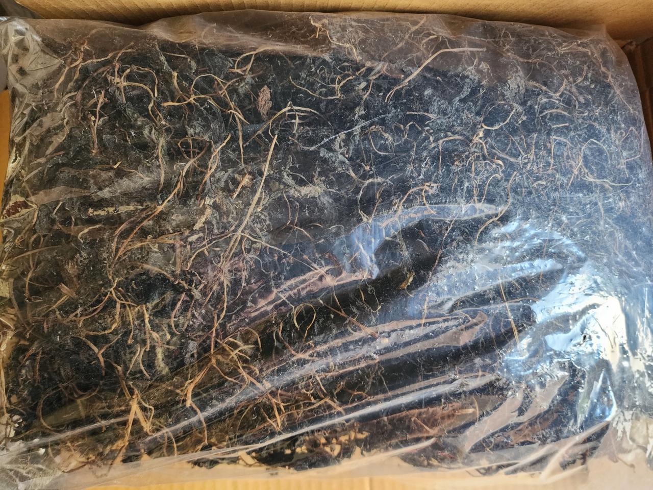 지리산 건취나물 팝니다