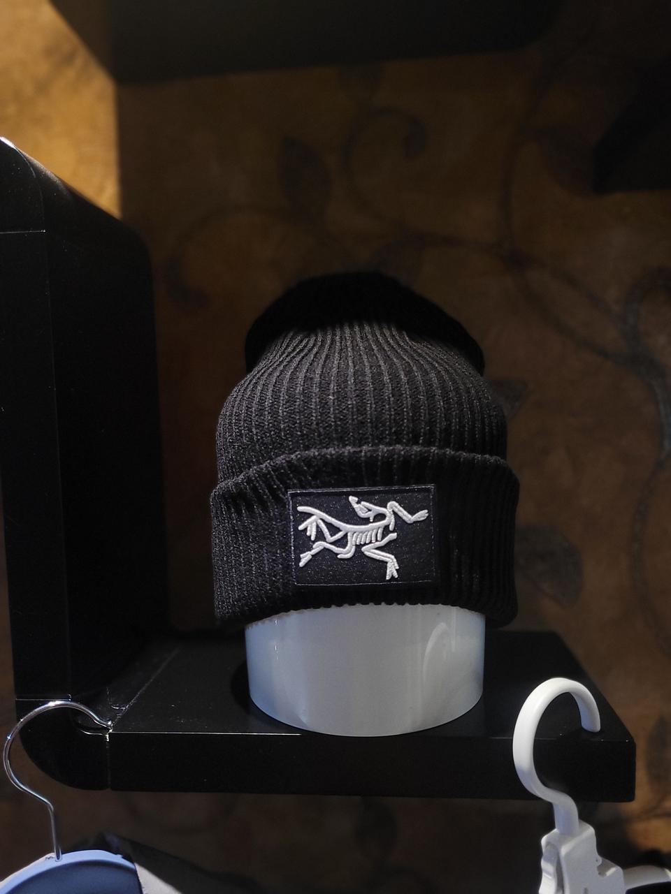 아크테릭스 비니모자