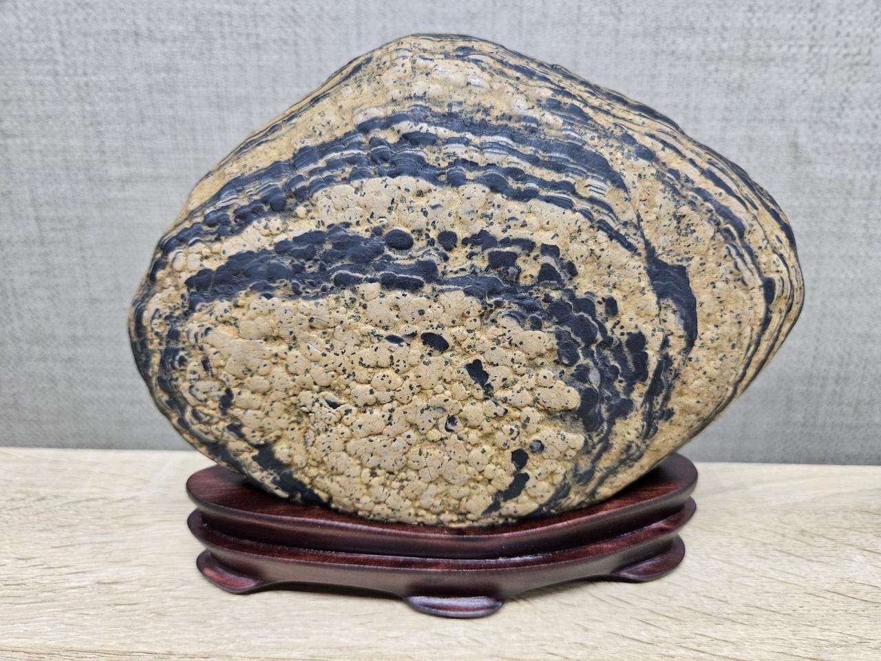 수석 돌 남한강 문양석 무늬석 수집