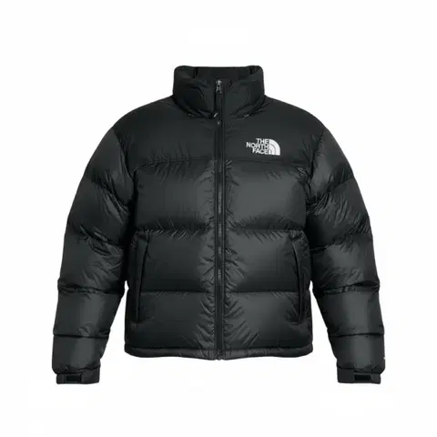 새상품) 노스페이스 1996 에코 눕시 패딩 XL