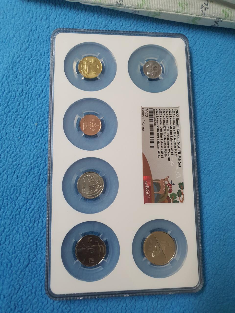 2022넌도멀티그래이팅(사슴라벨)