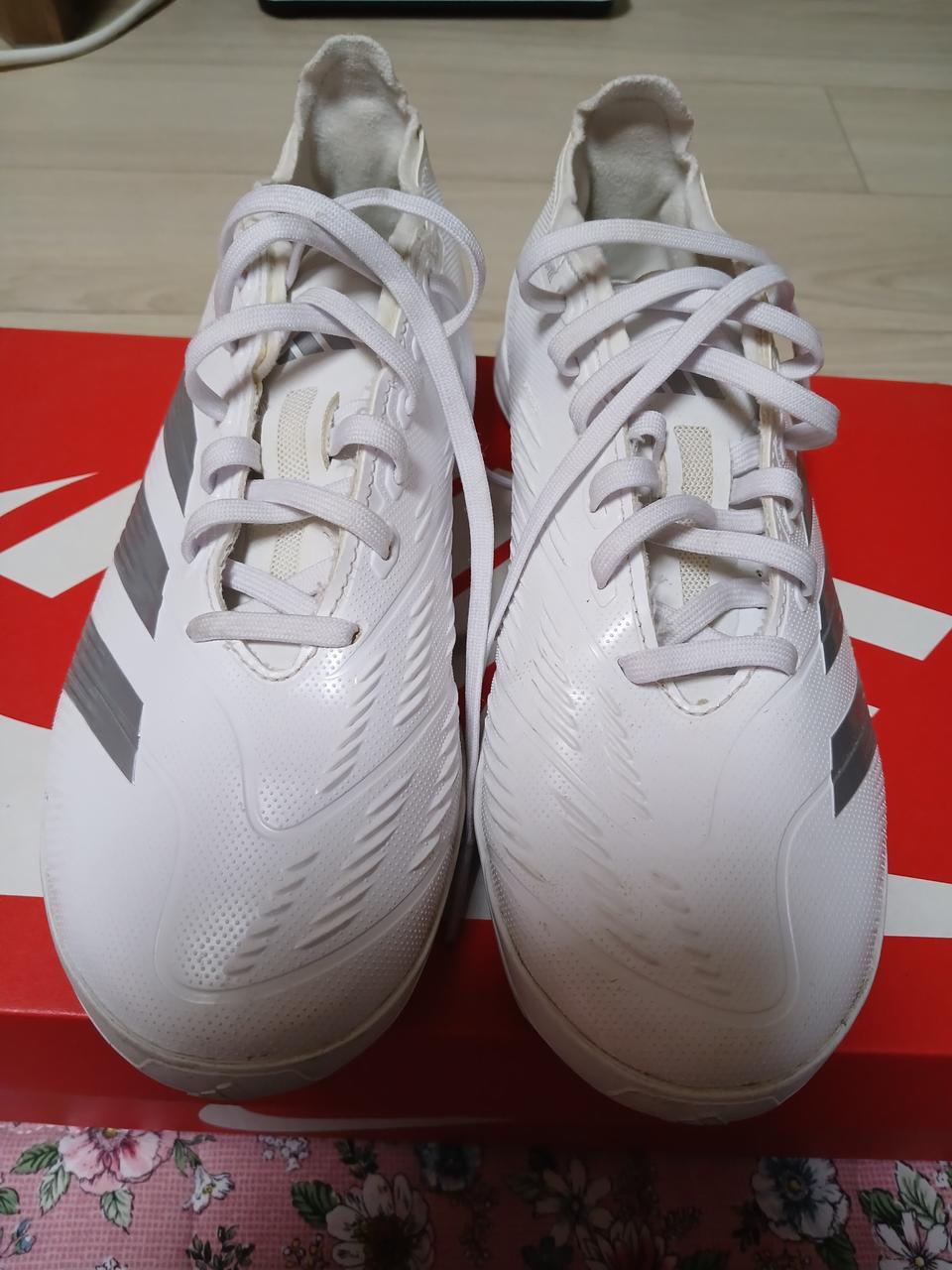 아디다스 프레데타 풋살화 (250mm)