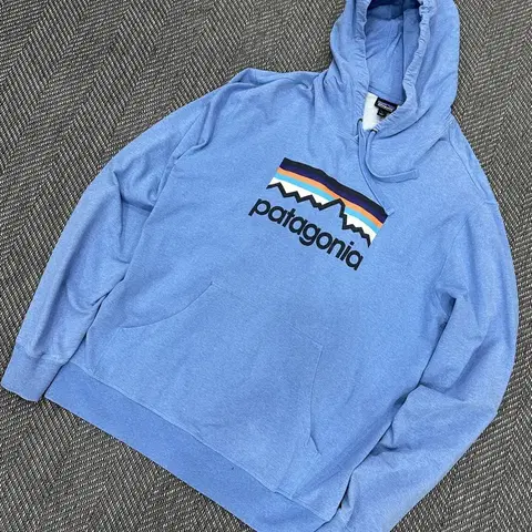 파타고니아 후드티 블루