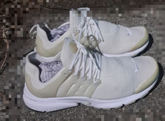 나이키 에어프레스토 250