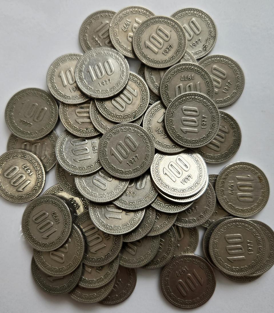 화폐수집 1977년 100원 주화 50개 사용제