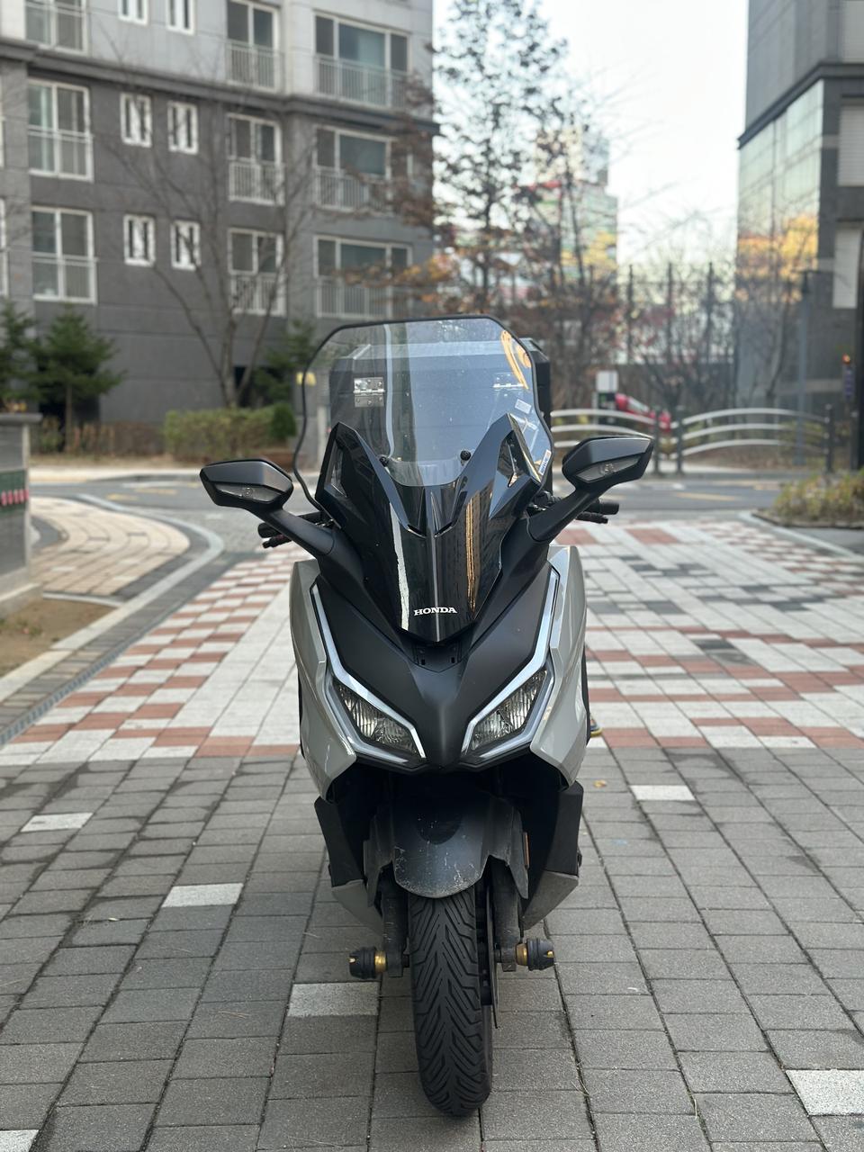 혼다 포르자350 24년식 판매합니다