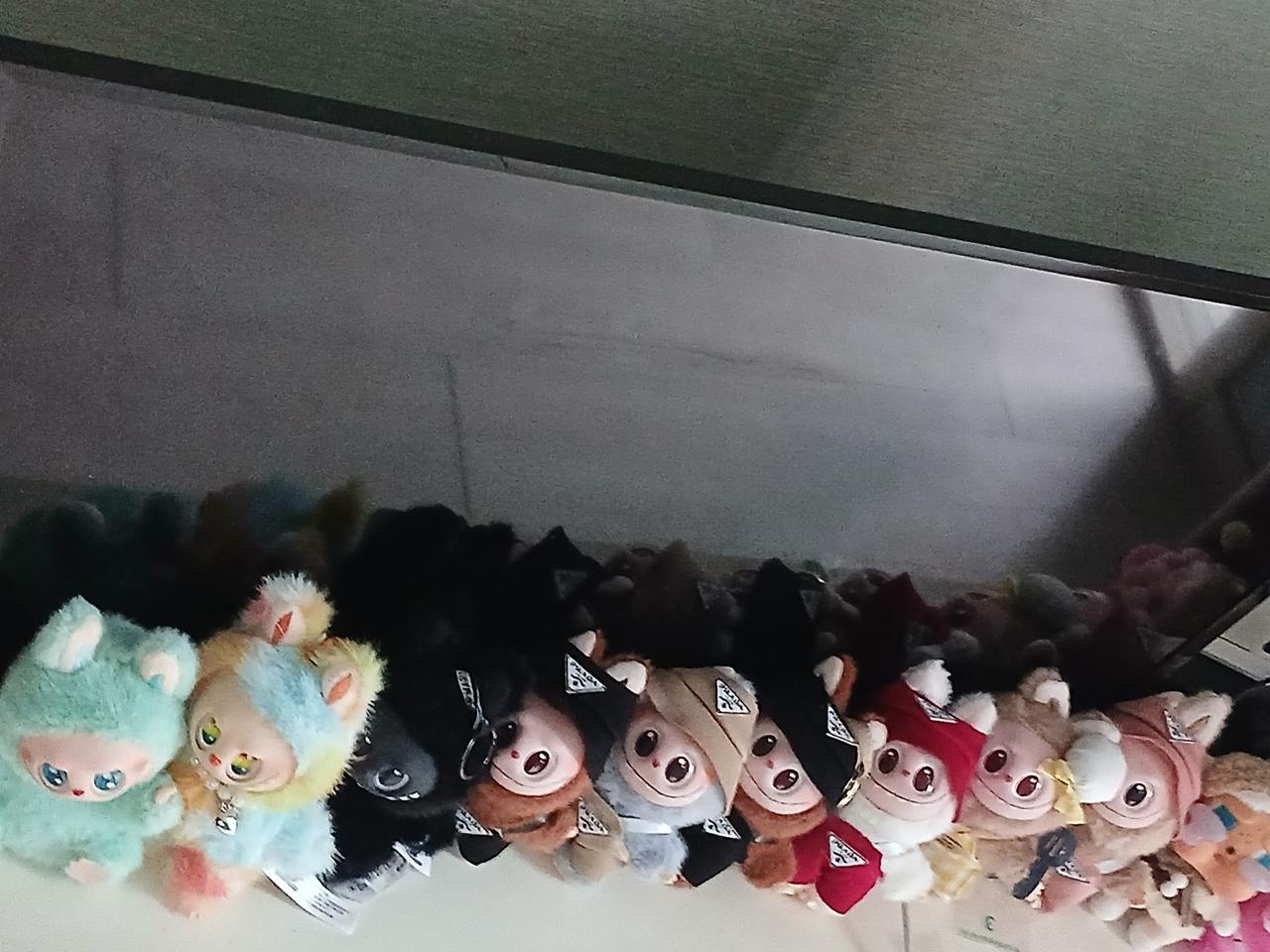 인형뽑기 라부부 사진나와있는 애들+무지개 라부부2개더 총 11마리