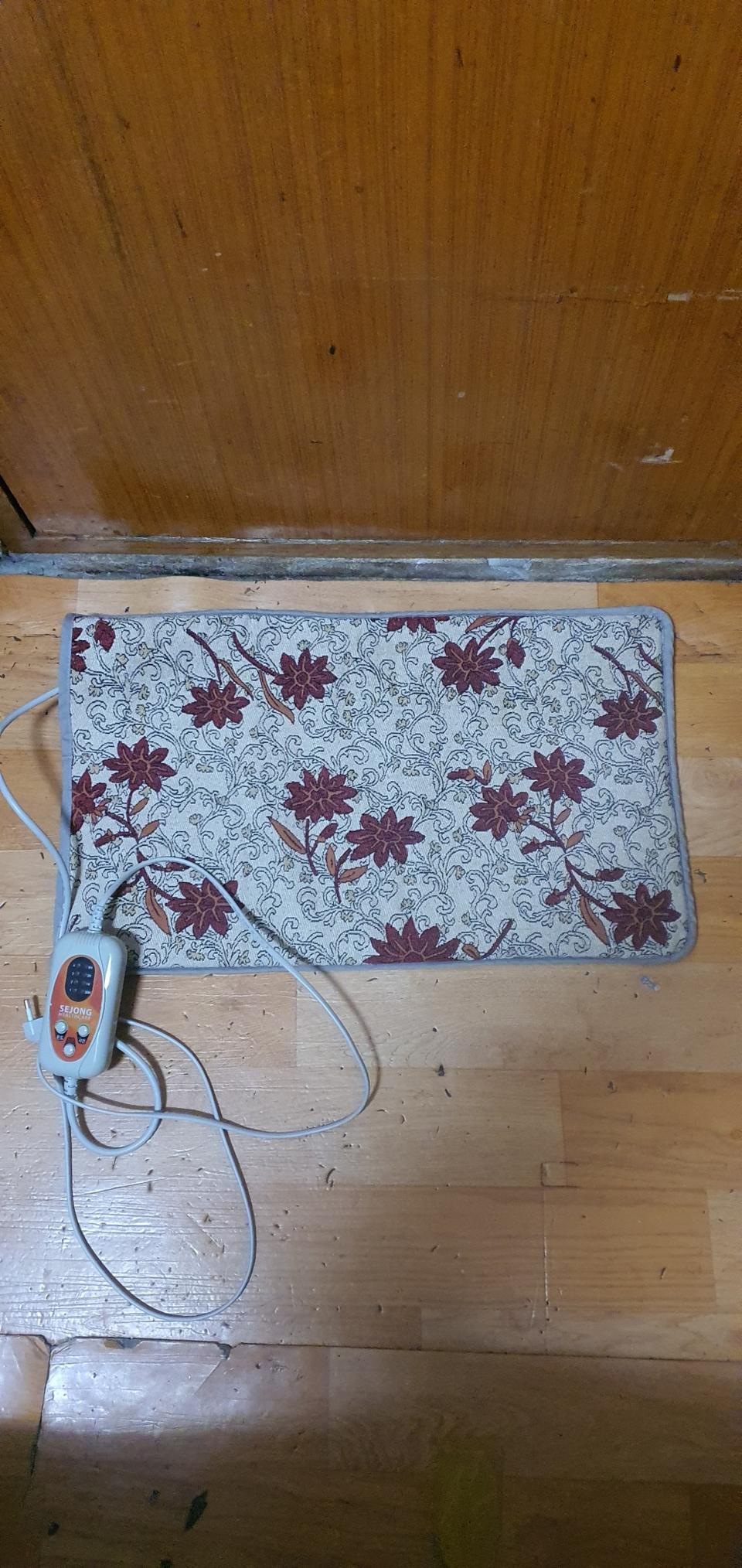 엉뜨온열전기방석