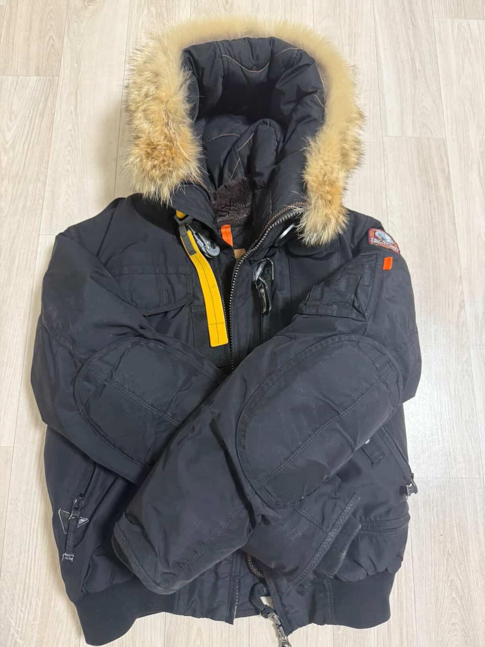 파라점퍼스 고비