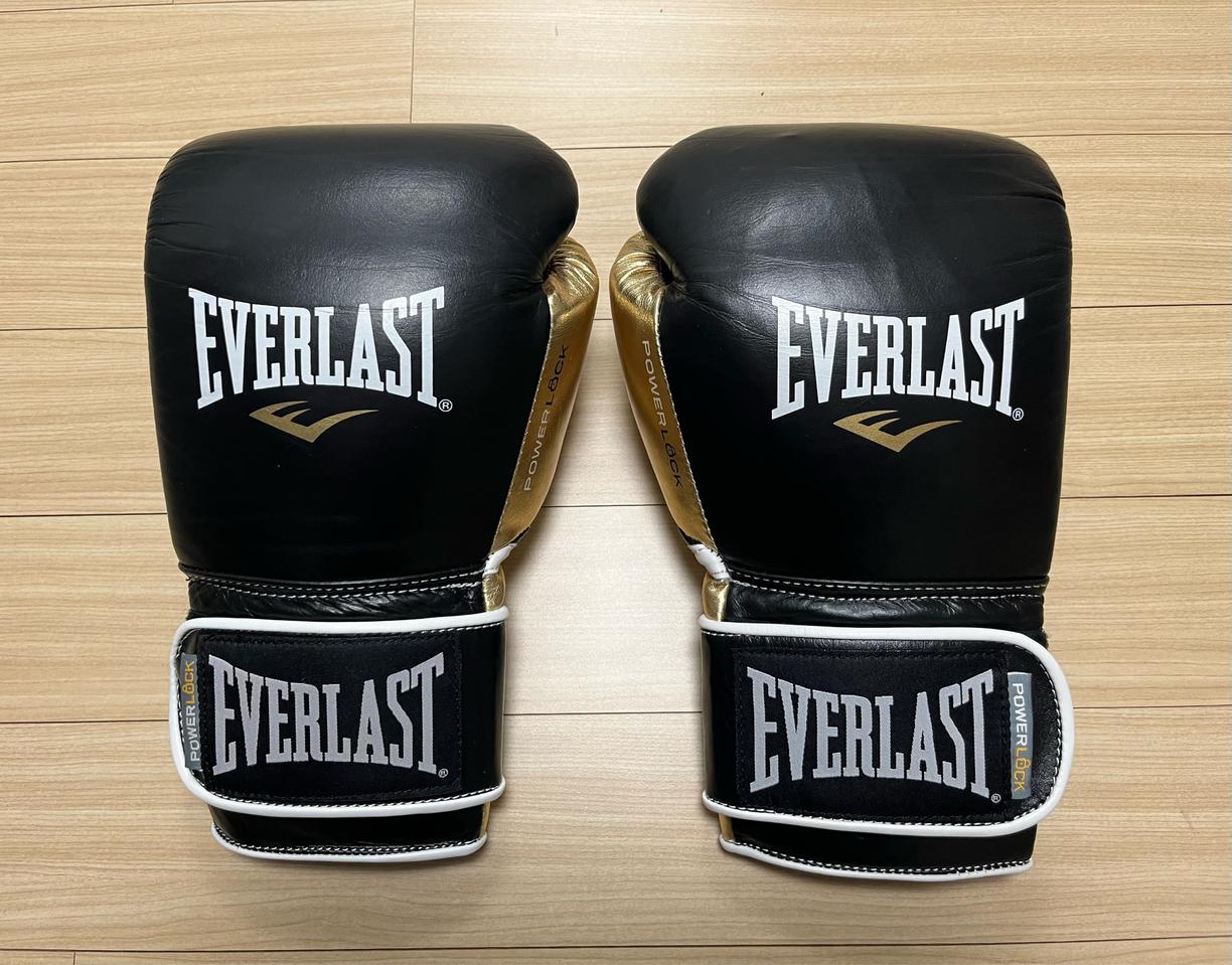 [새제품] [16온스] 에버라스트 파워락 트레이닝 복싱 글러브