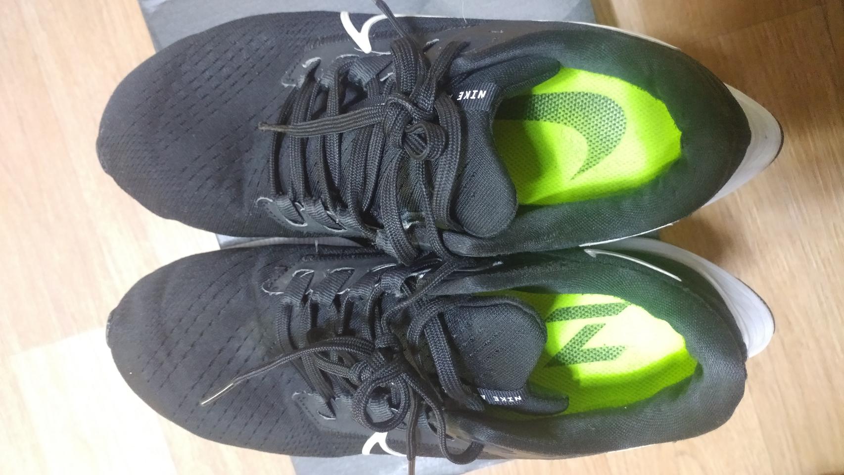 듀라모RC 2 페가수스38 ,줌플라이4