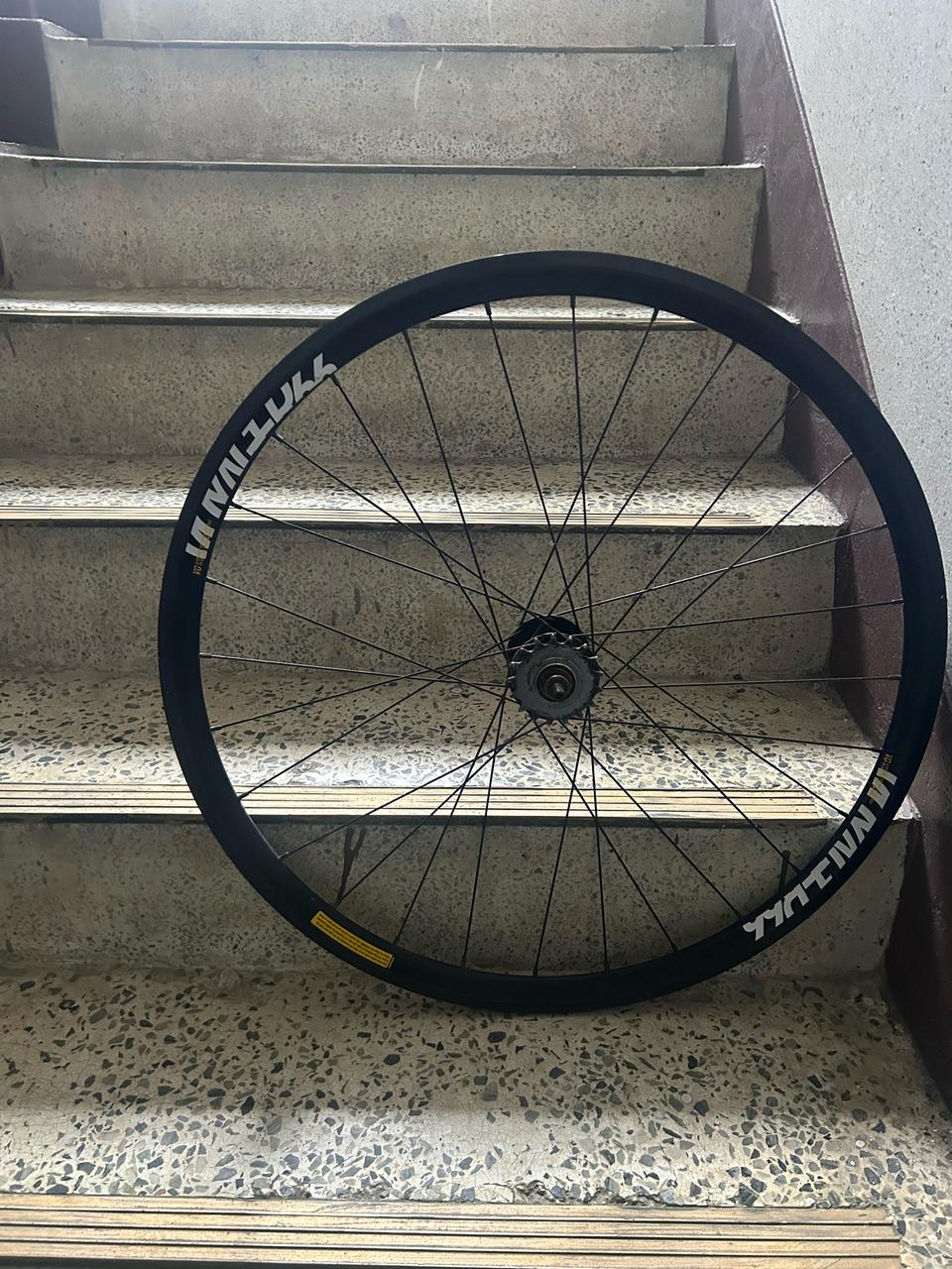 보이저66 픽시 리어 급처