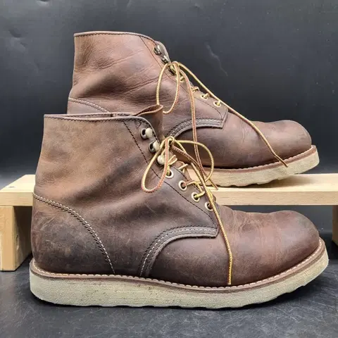 호킨스 콘소시아 남성워커 255