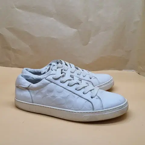 코치 남성스니커즈 265-270