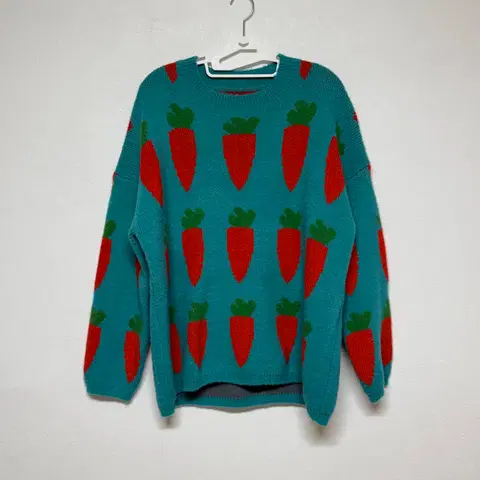 여성용 당근 니트 F