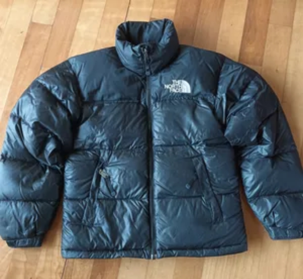 노스페이스 구스다운 100-105