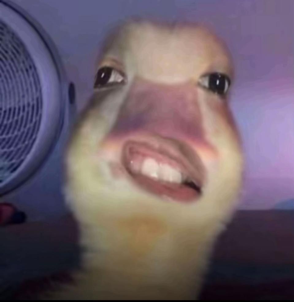 명품의류 매입합니다 다삽니다