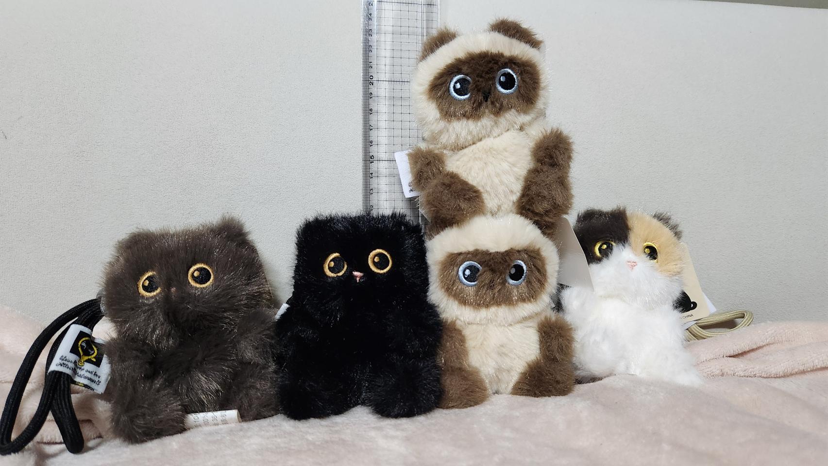 고양이 인형 키링