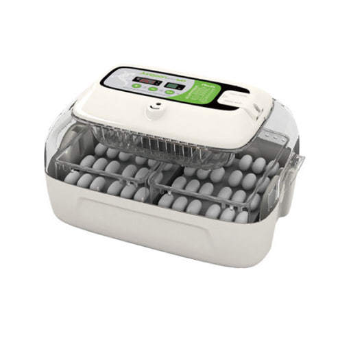 알콤 렙타일 MAX60 MX-R60 파충류 부화기