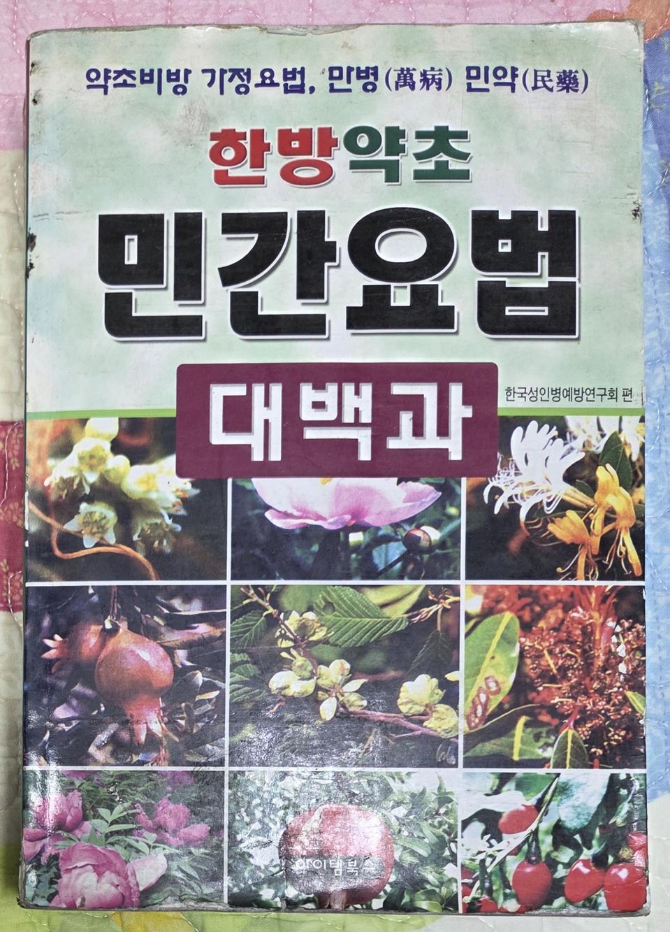 한방약초 민간요법 대백과