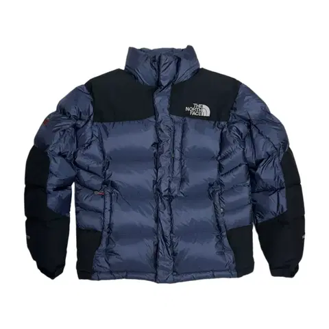 노스페이스 뉴써밋 700 윈드스토퍼 구스다운 패딩