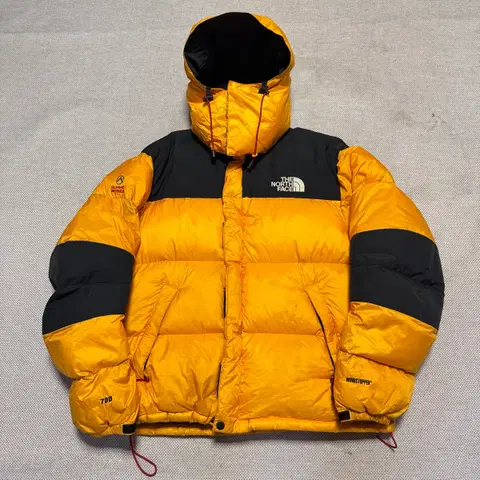 노스페이스 써밋시리즈 700 구스다운 패딩