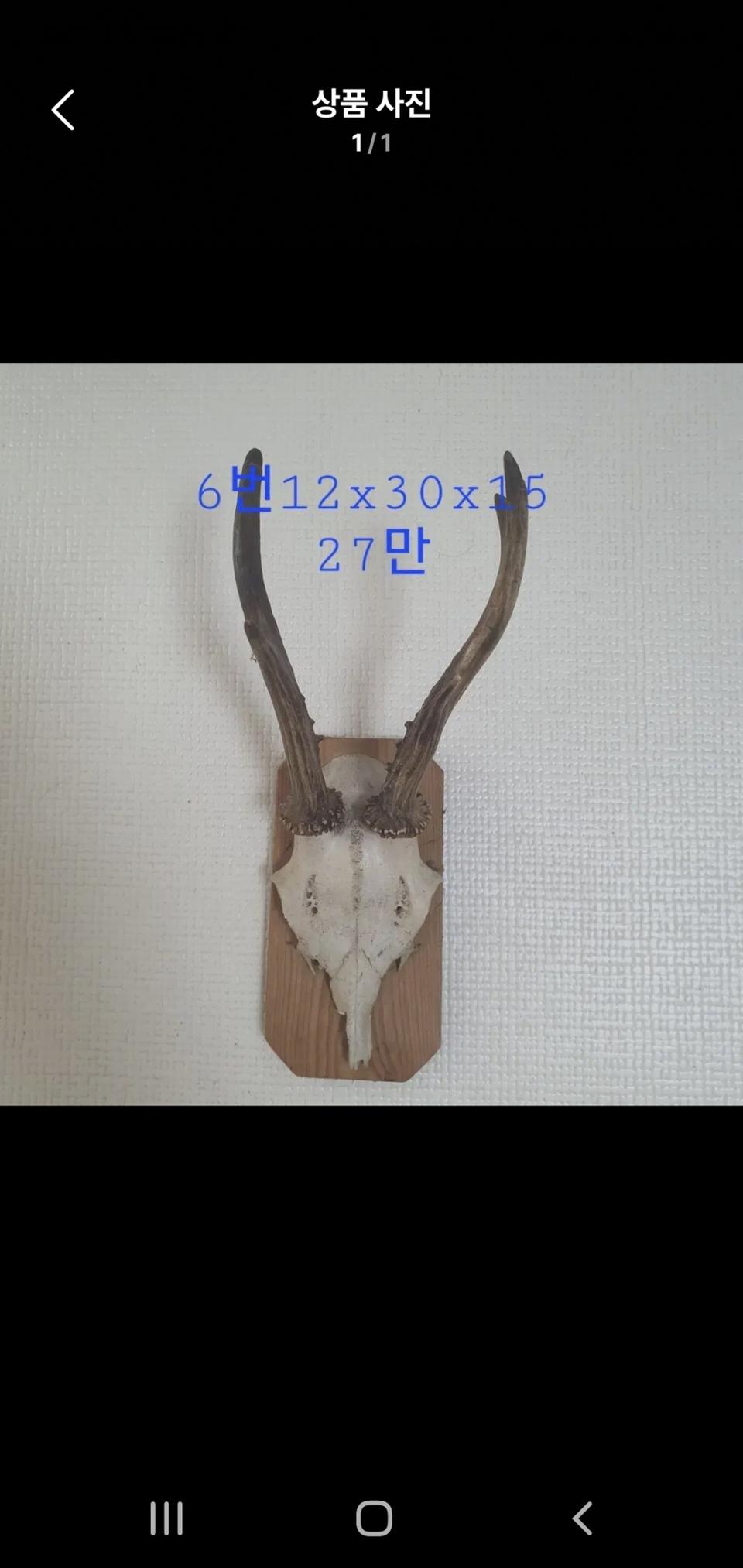 헌팅 트로피 오리지널 사슴뿔 장식,사슴머리뿔 오브제, 벽난로가 있는 거실