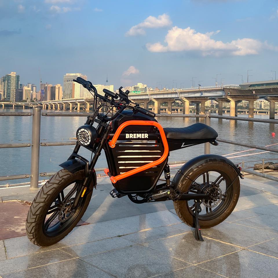 브리머 전기자전거 새것 최저가