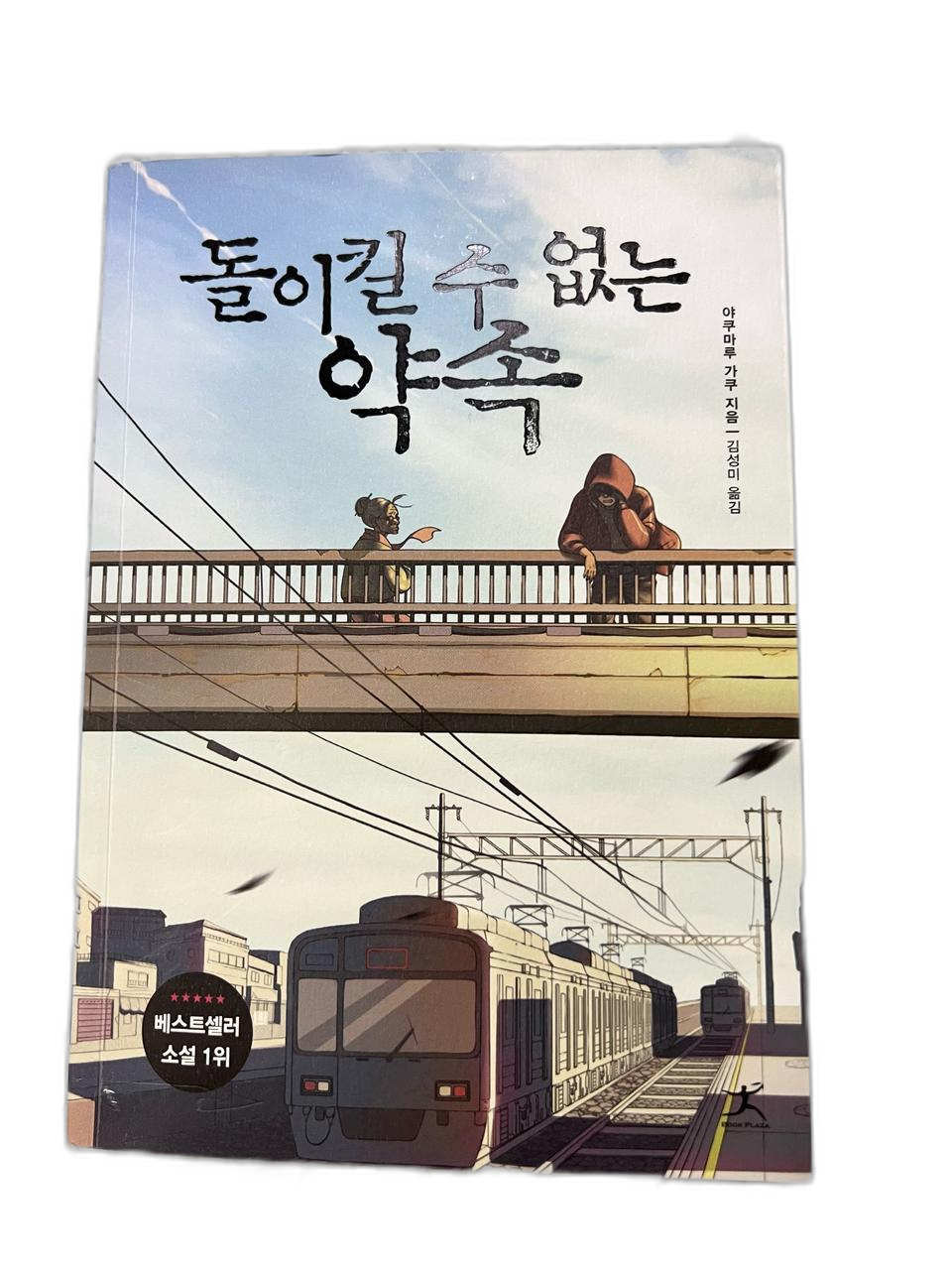 돌이킬수없는 약속 소설책