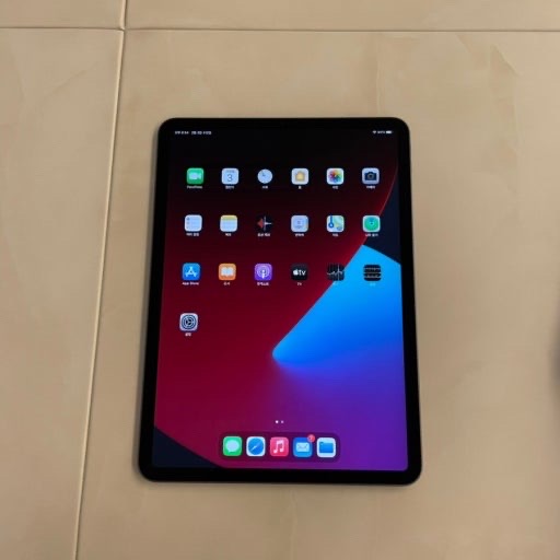 아이패드 프로 4세대