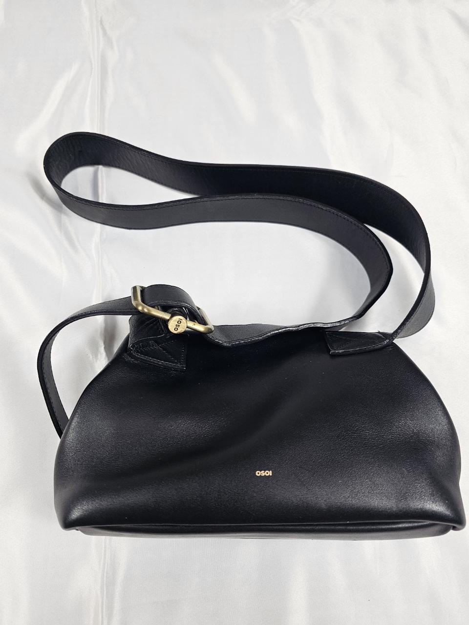 오소이미니브로트백