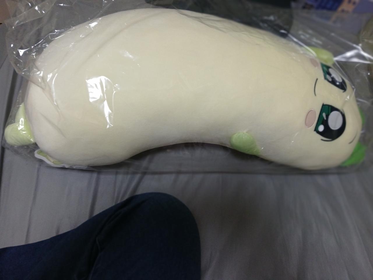 꼭 안아줘요 양파쿵야 바디필로우