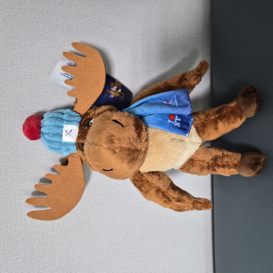 새상품 23 동계유니버시아드 애드론댁 맥 마스코트 인형 잡화-129