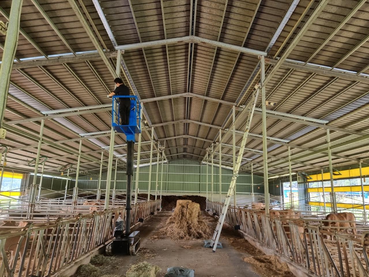 1인용궤도고소작업대? 엄청효율적이네 RM04B