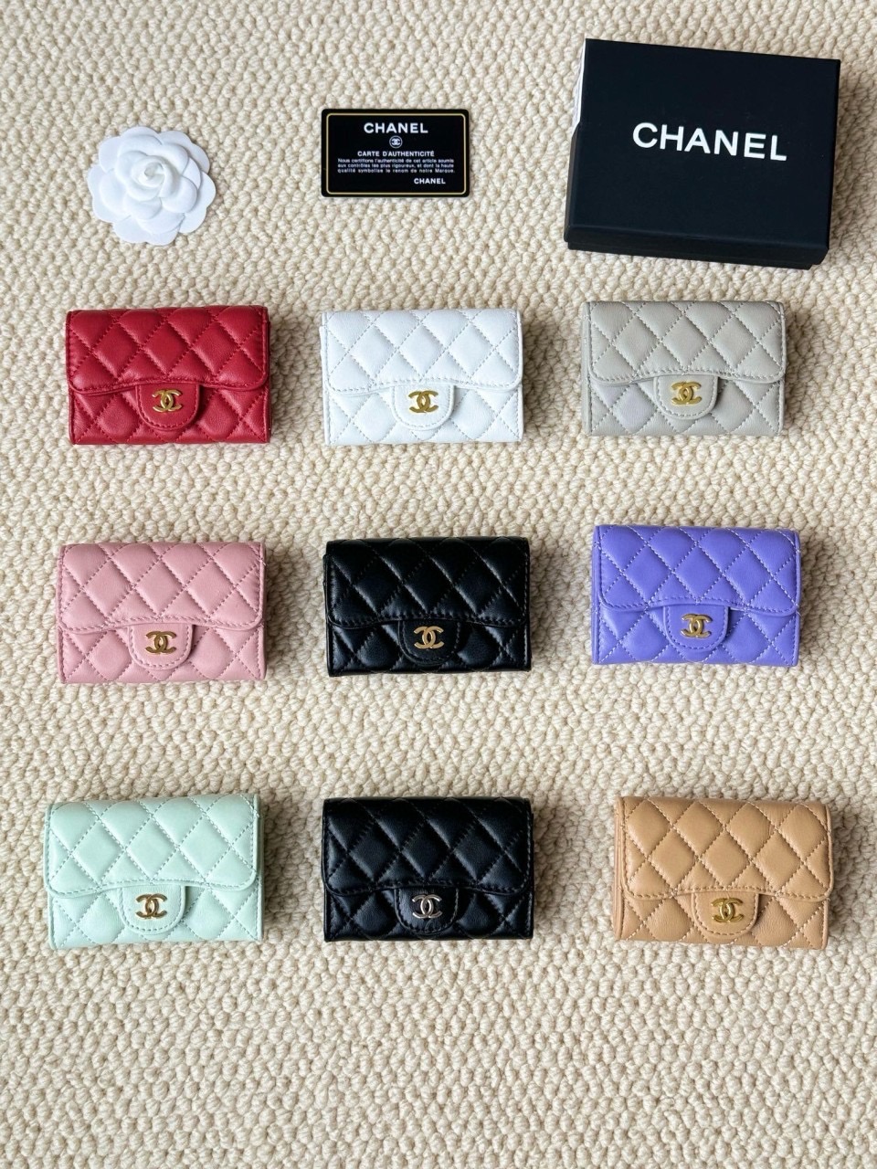 샤넬 신상 지갑