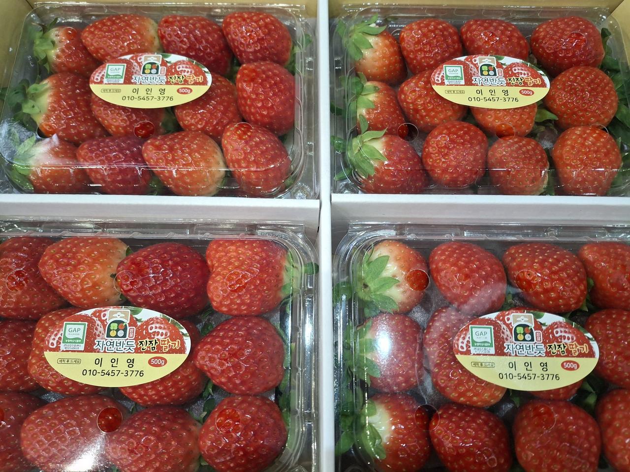 딸기2kg(큰딸기)