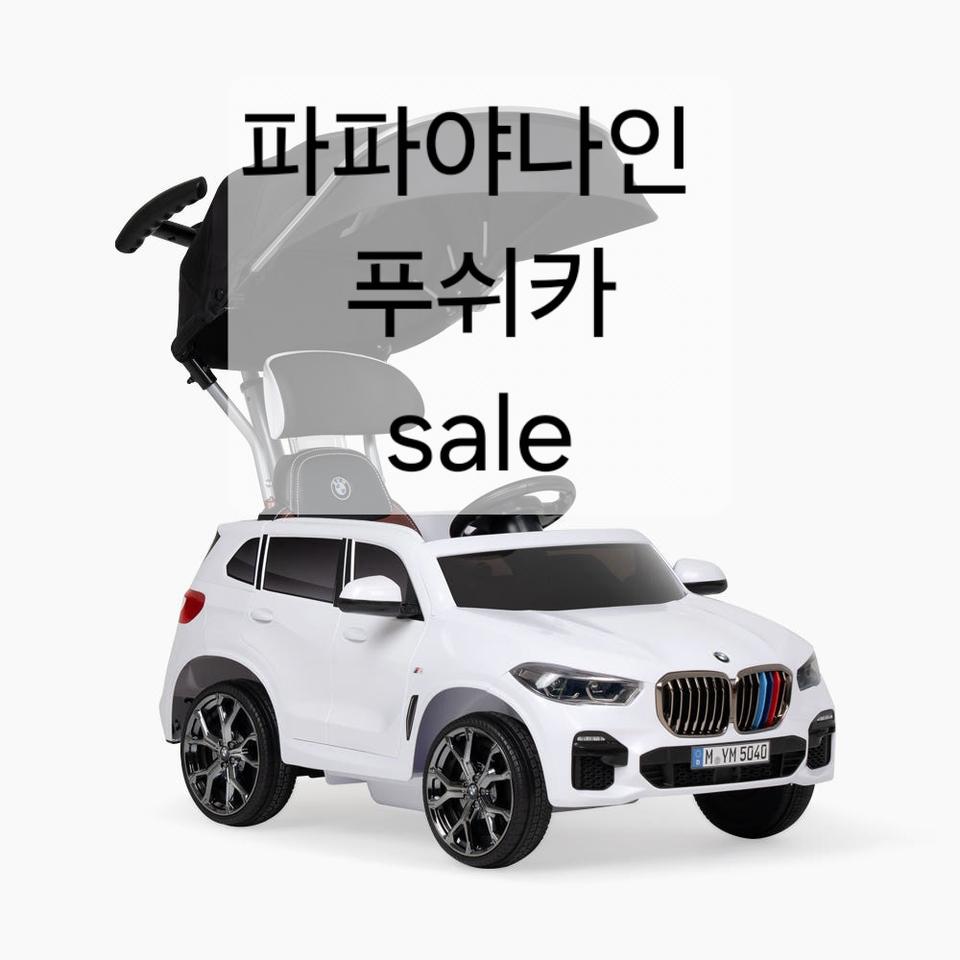 파파야나인 푸쉬카