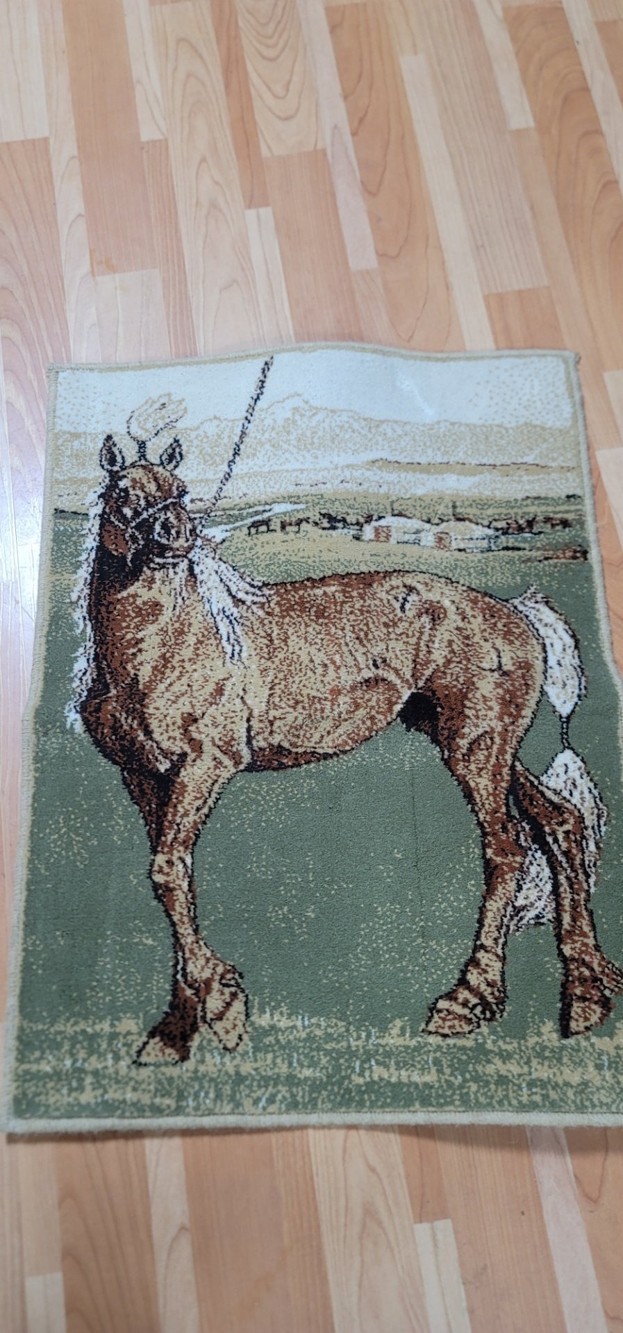 ​몽골 정품! 에르데네트 순수 양모 말 문양 러그 (벽걸이/장식용)새상품