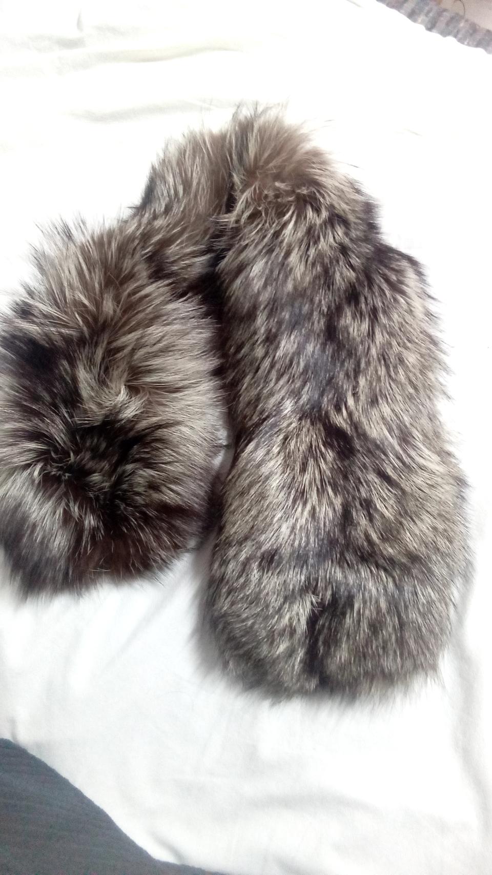 북미산 실버 폭스