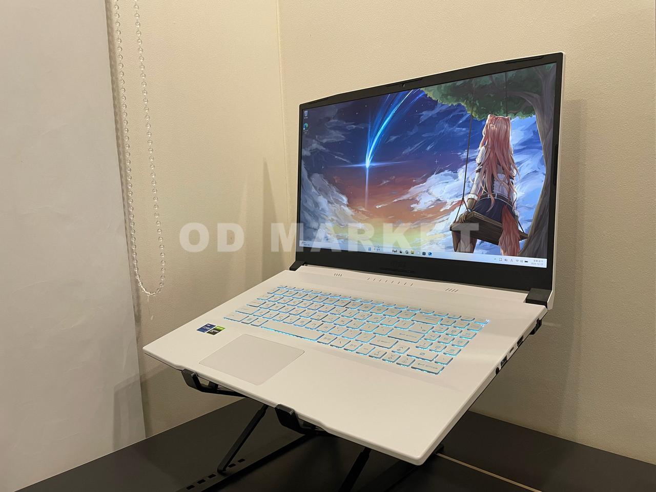 msi 게이밍 노트북(GTX1650,17.3인치,144hz)