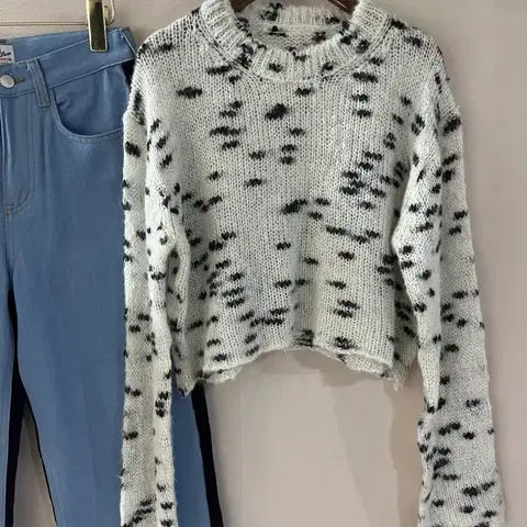 달마시안반크롭니트