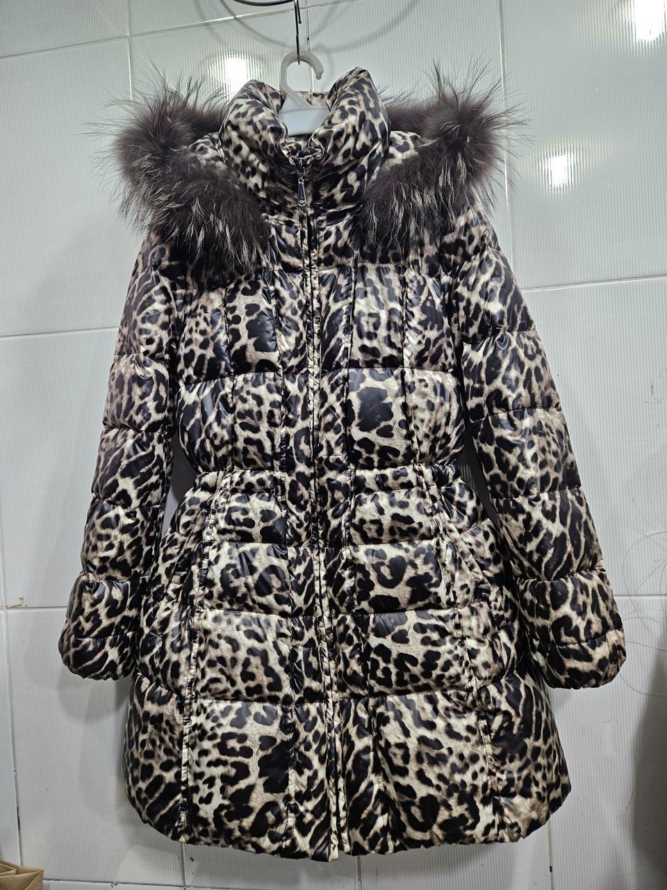 덕다운패딩(95)66