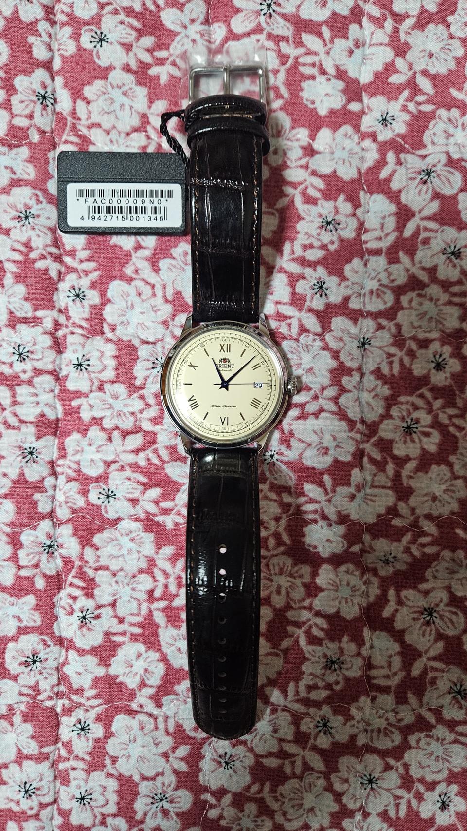 오리엔트 밤비노 2세대 크림 FAC00009N0