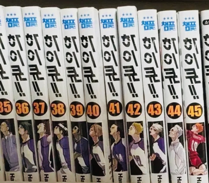 하이큐 전권 렛츠 하이큐 소설 외