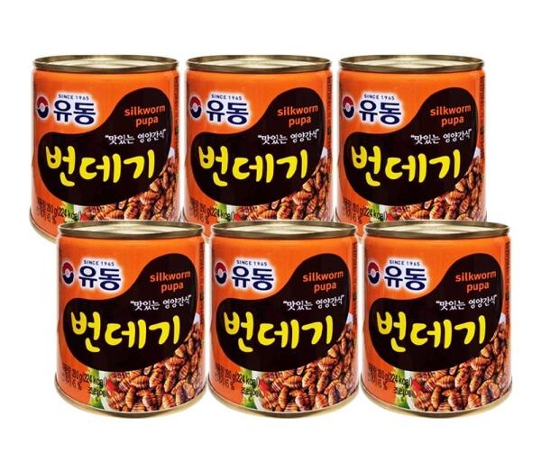 유동 번데기 280g 6개 통조림