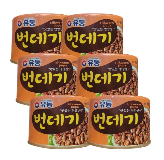 유동 번데기 130g 6개 통조림